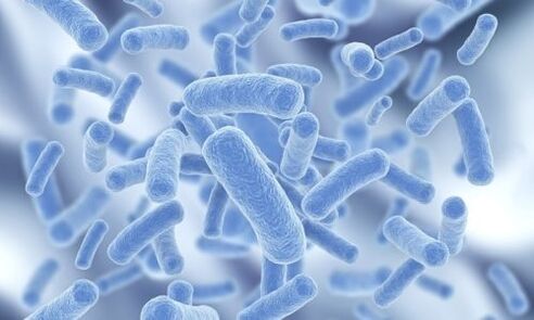 Bactéries dans le corps humain